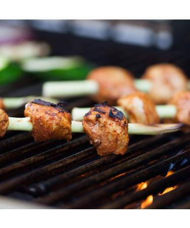 Spiceology Tandoori Glory Masala Seasoning - Authentic Indian Spice Rub - Curry Seasoning - 18 oz Pack - Buy Online on GoSupps.com