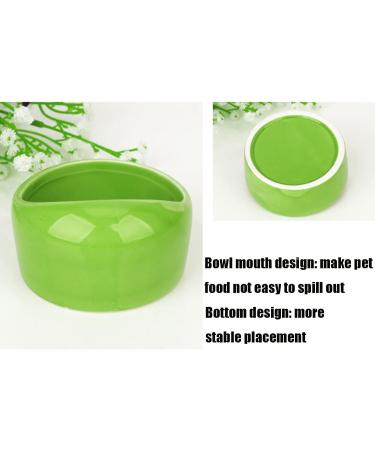 CAJHFIZHANGU 1pc Gradient Side Hamster Ceramic Bowl Hamster Food Bowl Ceramic Water Bowl Small Animal Water Bowl Anti-bite Small Animal Food Bowl Water Feeder for Rabbit Hedgehog Guinea-Pig Green - Buy Online on GoSupps.com