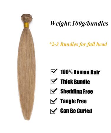 SEGO 10 Inch Brazilian Human Hair Bundles | 100% Unprocessed Virgin Honeyblond Extensions - Buy Online on GoSupps.com