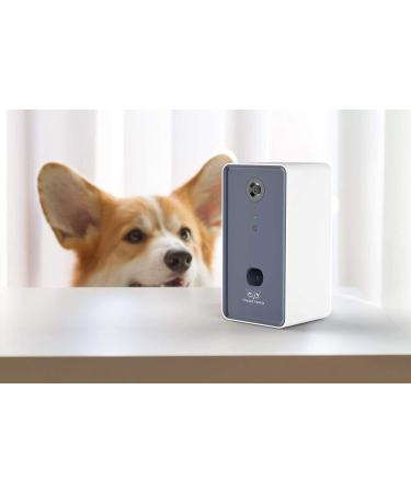 Owlet Home Pet Camera with Treat Dispenser Tossing | 1080P Camera, WiFi, Night Vision | Alexa Compatible for Dogs/Cats - Buy Online on GoSupps.com