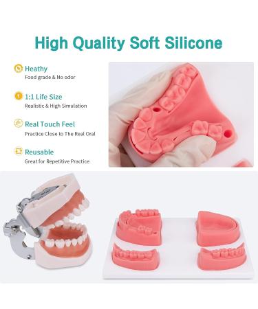 LVCHEN Dental Oral Practice Kit - 25 Pcs Set for Dentist & Student Training - Buy Online on GoSupps.com