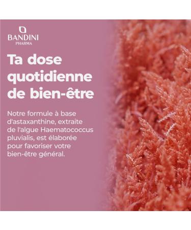 Bandini Pure Astaxanthin 18 mg Haematococcus Pluvialis Algae | 270 Capsules for 9 Months | High Concentration & Bioavailability | Natural and Powerful Antioxidant | No Additives 100% Vegan - Buy Online on GoSupps.com