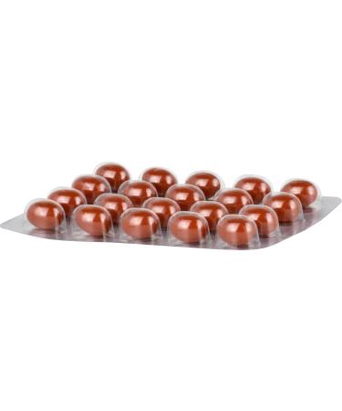 Buy Dr. Gerhard Mann Ocuvite Lutein Plus Capsules - 60 Count | Premium Eye Health Supplement | International Shipping Available - Buy Online on GoSupps.com