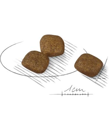 ROYAL CANIN Mini Coat Care - 3kg - Buy Online on GoSupps.com