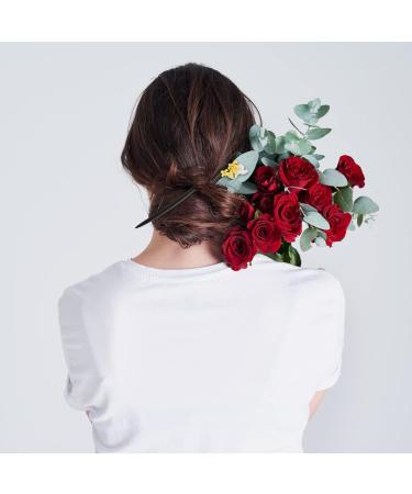 minkissy Hairpin Hair Clip for Women Hanfu Hair Stick Hair Decorations for Women Hanfu Hair Chopsticks Hair Chopsticks for Women Hair Combs for Women Chignon Wood Japanese-style Miss China - Buy Online on GoSupps.com