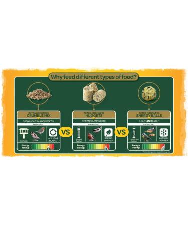 Peckish Extra Goodness High Energy Suet Nuggets for Wild Birds 100 in pack 20 g (Pack of 100) Single - Buy Online on GoSupps.com