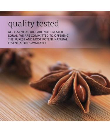 NOW Anise Oil 1-Ounce Pack of 2 | Pure & Natural Essential Oil - Buy Online on GoSupps.com