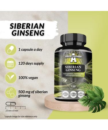 APOLLO'S HEGEMONY Siberian Ginseng 500 mg - 120 Vegan Capsules - 4 Month Extract Standarized to 0 8% eleutherosides B + E - Dietary Supplement - Buy Online on GoSupps.com
