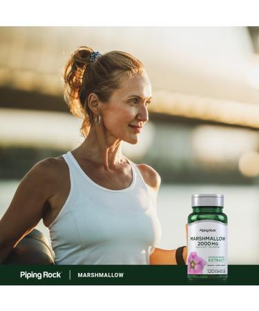 Piping Rock Marshmallow Root Supplement | 120 Capsules | Herbal Concentrated Extract | Non-GMO Gluten Free - Buy Online on GoSupps.com