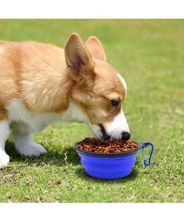 4 Pack Collapsible Dog Bowls with Carabiners - Portable Pet Travel Bowls for Feeding and Water - Blue, Green, Light Blue, Light Green - Buy Online on GoSupps.com