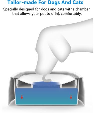 Weinidasi WassernaPf for Dogs - 1.5L Water Stake for Cats/Dogs | Portable Anti-Slab Drinking Trinker - Perfect for Home & Travel - Buy Online on GoSupps.com