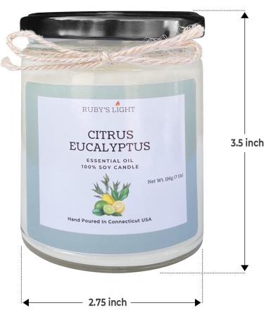 Citrus Eucalyptus Essential Oil Candle - All-Natural Soy Candle for Aromatherapy | 9 Oz Glass Jar with Cotton Wick & High Scent - Buy Online on GoSupps.com