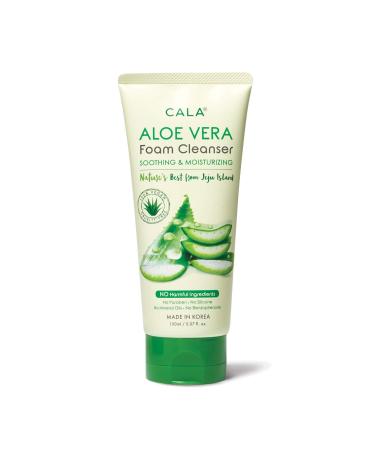 Cala Aloe vera soothing & moisturizing foam cleanser 5.07 fluid ounce 5.07 Fl Ounce