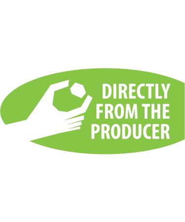 VitaOrganic Kombucha Tea Drink 330ml - Sparkling Green Tea with Live Kombucha Culture - 100% Organic Plant-Based Drinks - Buy Online on GoSupps.com