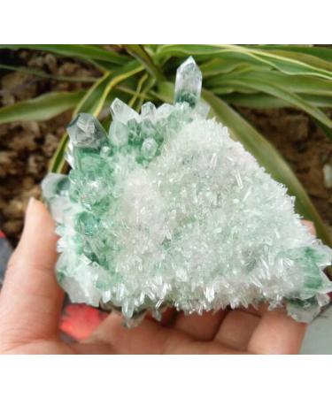 Choice of Gifts 300g Natural Green Ghost Quartz Cluster Crystal Cluster Vibration Stone - Buy Online on GoSupps.com