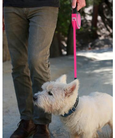 Taglory No-Tangle Retractable Dog Lead 5m - Heavy Duty Nylon Tape for Small/Medium Dogs up to 20kg - Pink - Buy Online on GoSupps.com