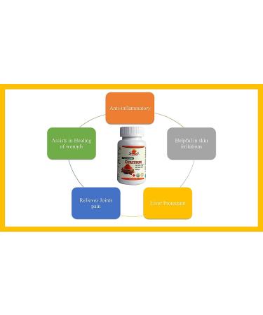 Sewanti Organic Curcumin Extract 95% with Black Pepper Indian Long Pepper and Ginger for Joint Pain Liver protectant Curcumin extract NPN 80070675 60 Vegan Capsules - Buy Online on GoSupps.com
