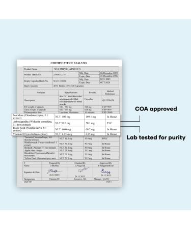 mars by GHC Surge Natural Sea Moss Caps (60N) : Powered with Black Seed & Vitamin D3 | Packed with 84 Minerals | Good Health Company - Pack of 2 120 Count (Pack of 1) - Buy Online on GoSupps.com
