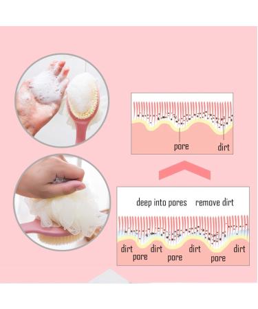 Shower Body Brush with Loofah & Bristles | Exfoliating Back Scrubber for Men & Women - Long Curved Handle (Blue) - Buy Online on GoSupps.com