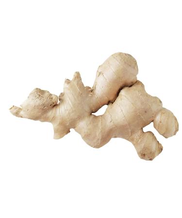 Gingembre Frais - Lot de 1 2 5 10 et 20kg - Livraison Gratuite France - Exp dition depuis France par la st Bo Time (0.5 Kilogrammes)