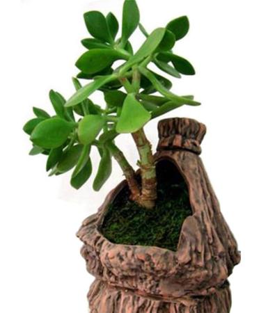 Topcomww Artificial Green Moss for Plant Crafts & Flower Centerpieces - 3.5oz - Buy Online on GoSupps.com