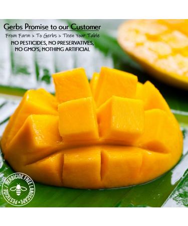 GERBS Dried Mango Cubes 2 LBS - Sweet & Allergy-Free | Vitamin B Boost | Gluten & Peanut Free - Buy Online on GoSupps.com