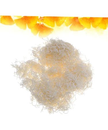 Toddmomy Pet Friendly 2 Packs Natural Lip Stain Natural Lip Gloss Wood Wool Earth Tones Wooden Lip Gloss - Buy Online on GoSupps.com