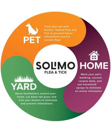 Solimo Flea Topical Treatment for Small Cats - 4 Count (5-9 lbs) | Fast-Acting Formula by Amazon Brand - Buy Online on GoSupps.com