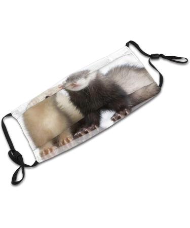 PPFINE Ferrets Fashion Animal Breathable Face Cover Adjustable Reusable Washable For Teenagers Men Women Balaclava Ferrets Fashion Animal 1 count (Pack of 1) - Buy Online on GoSupps.com