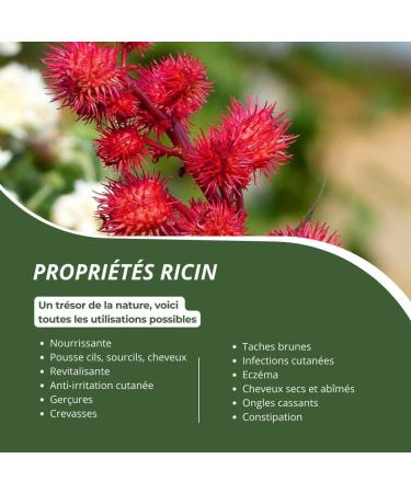 CASTOR OIL 100% ORGANIC NATUROLEUM cold pressed Pure and Natural - Extra Virgin - Nourishing care for Hair Eyelashes Nails Skin beard (200 ml) - Buy Online on GoSupps.com