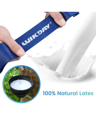 Shop Resistance Bands Set for Workout | Exercise Loop Bands for Men & Women | Ideal for Stretching Crossfit Home Fitness & Physical Therapy - Set of 5 Multicolor - Buy Online on GoSupps.com