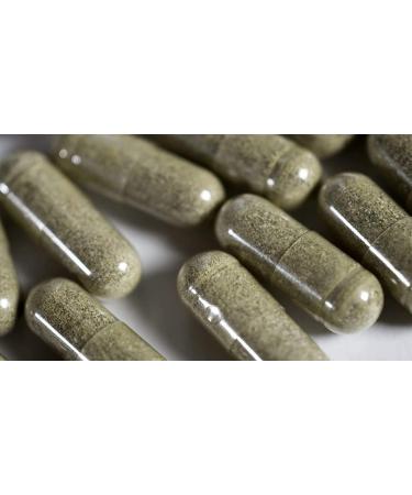 Fast-Acting Natural Weight Loss Supplement - Appetite Suppressant and Fat Burner for Women and Men - 2 Months Supply (180 Capsules) - Buy Online on GoSupps.com