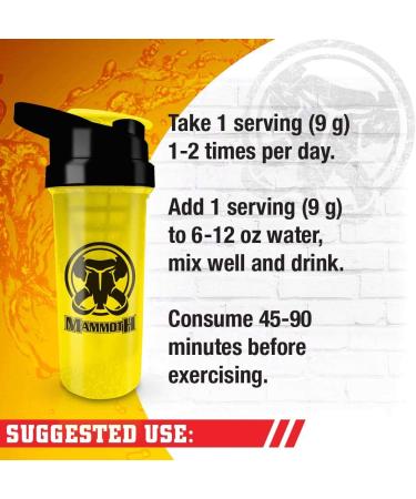 MAMMOTH PUMP Pre Workout Powder Superior Muscle Pumps Increase Strength & Endurance Explosive Power & Energy Supplement Heightened Focus Quick Recovery Reduced Soreness (30 Serves Swedish Very Berry) Swedish Very Berry 270.0 g (Pack of 1) - Buy Online on GoSupps.com