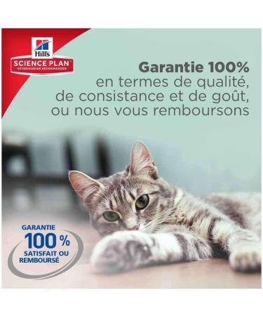 Hill's Science Plan Feline Chunks & Gravy Kitten Pouch Multipack 12 x 85g - Buy Online on GoSupps.com