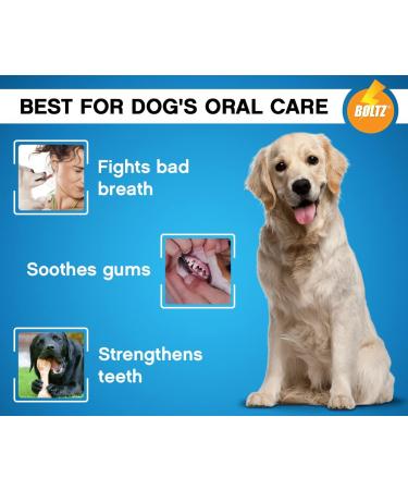 Boltz Enzymatic Toothpaste for Dogs 100gm with 3 Toothbrush with Mint Fragrance - Buy Online on GoSupps.com