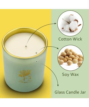 Sage Candle for Cleansing Negative Energy - 6 oz Highly Scented Soy Candle, 55 Hour Burn - Aromatherapy Jar Candle for Home Healing & Relaxation - Perfect Women's Gift - Buy Online on GoSupps.com