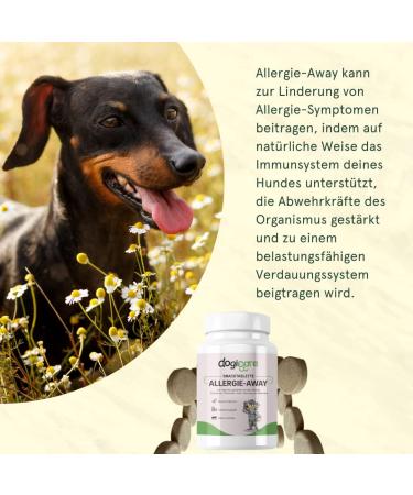 Allergy Tablets for Dogs - Natural Anti-Allergy Solution with Colostrum Brewer's Yeast & Prebiotics - Made in Germany - Buy Online on GoSupps.com