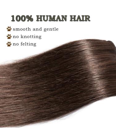 Buy SEGO Clip In Extensions - Real Remy Hair Heat Resistant Straight Medium Brown #4 20 (50cm) 70g - Perfect for Effortless Volume & Length! - Buy Online on GoSupps.com