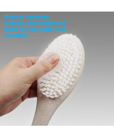 Yamahiko Bath Body Brush - Wet/Dry Exfoliating Back & Body Scrubber with Long Handle for Shower - Wheat Straw Bristles - Ideal for Women & Men - Buy Online on GoSupps.com