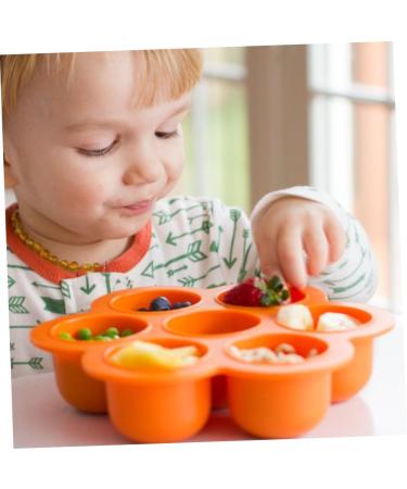 VICASKY Ice Mold 2pcs Food Container Fridge Containers Toddler Snack Containers Food Case Ice Tray Child Mold Ice Molds - Buy Online on GoSupps.com