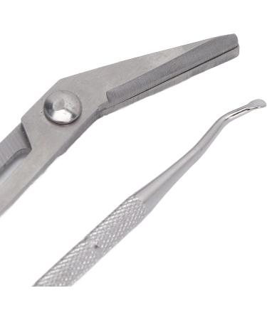Long Handle Toenail Clippers Ergonomic Firm Toenail Scissors Sturdy Rust Proof Portable Toenail Lifter for Home Travel for Elderly for Pregnant Woman(L) - Buy Online on GoSupps.com