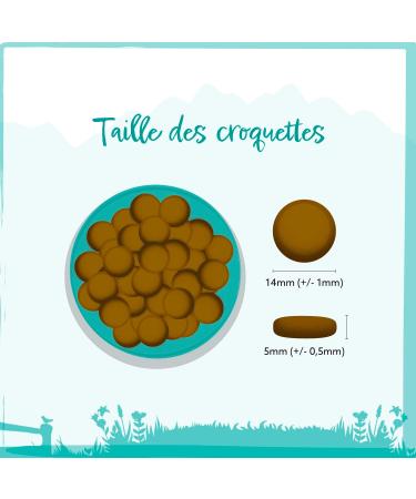 Wild Animal Light Premium Dry Dog Food Turkey with Sweet Potato and Cranberry Grain Free Pack of 1 (1 x 6 kg) - Buy Online on GoSupps.com