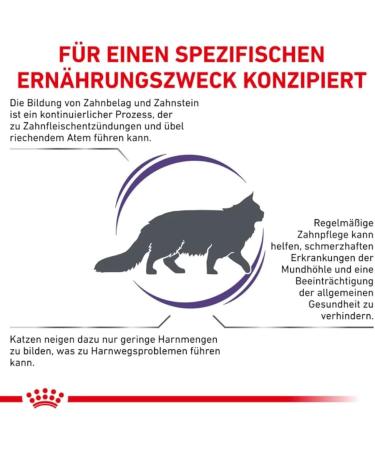 ROYAL CANIN Veterinary Diet Dry Cat Food Dental 3 Kg Dental 3 kg (Pack of 1) - Buy Online on GoSupps.com