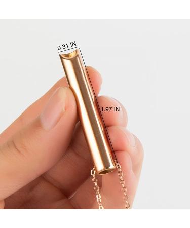 NexMe Stress Anxiety Relief Mindful Breathing Necklace - Breathwork Tool for Meditation & Relaxation (Silver) - Buy Online on GoSupps.com