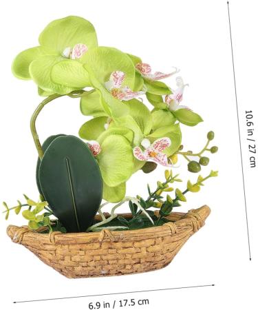 TOPBATHY 3pcs Rn Gift Phalaenopsis Home Accents Decor The Gift Home Forniture Decor Artificial Flower Bonsai Decor for Home Office Decor Garden Simulated Plant Double Fork Fake Orchid Greenx3pcs 27*17.5cmx3pcs - Buy Online on GoSupps.com