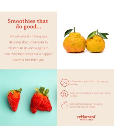 Re-Harvest Provisions Smoothie Pops 5 Pack - Frozen Fruit + Vegetables + Superfoods | Dairy-Free, Vegan, Gluten-Free | Anti-Inflammatory | Eco-Friendly | 1.6oz ea - Buy Online on GoSupps.com