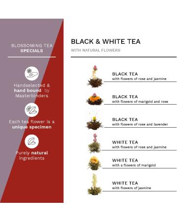 Buy Creano Teblumen Mix 6 - Bloomed White & Black Tea in Luxury Magnetic Box | 6 Premium Tea Pieces | Perfect Gift - Buy Online on GoSupps.com