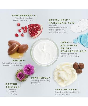 Aphrodite Night Cream - Revitalize & Rejuvenate Your Skin | Best International Shipping - Buy Online on GoSupps.com