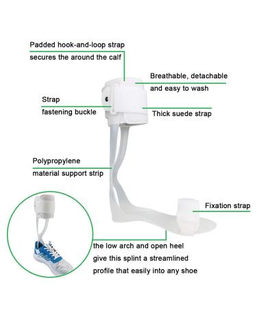 Orthomen Drop Foot Brace AFO Leaf Spring Splint - Right Large - Ankle Foot Support - Buy Online on GoSupps.com