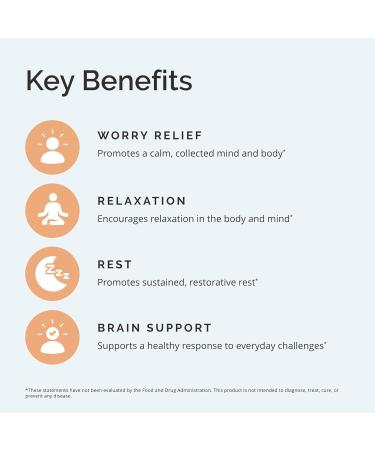 BRAINMD Dr Amen Calm My Brain - 90 Vegan Capsules - Fast-Acting Formula with Magnesium Ashwagandha & L-Theanine - 30 Servings 30 Servings (Pack of 1) - Buy Online on GoSupps.com